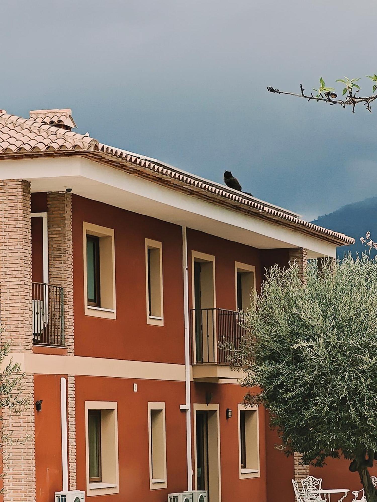 Finca Oliva Bolulla Экстерьер фото