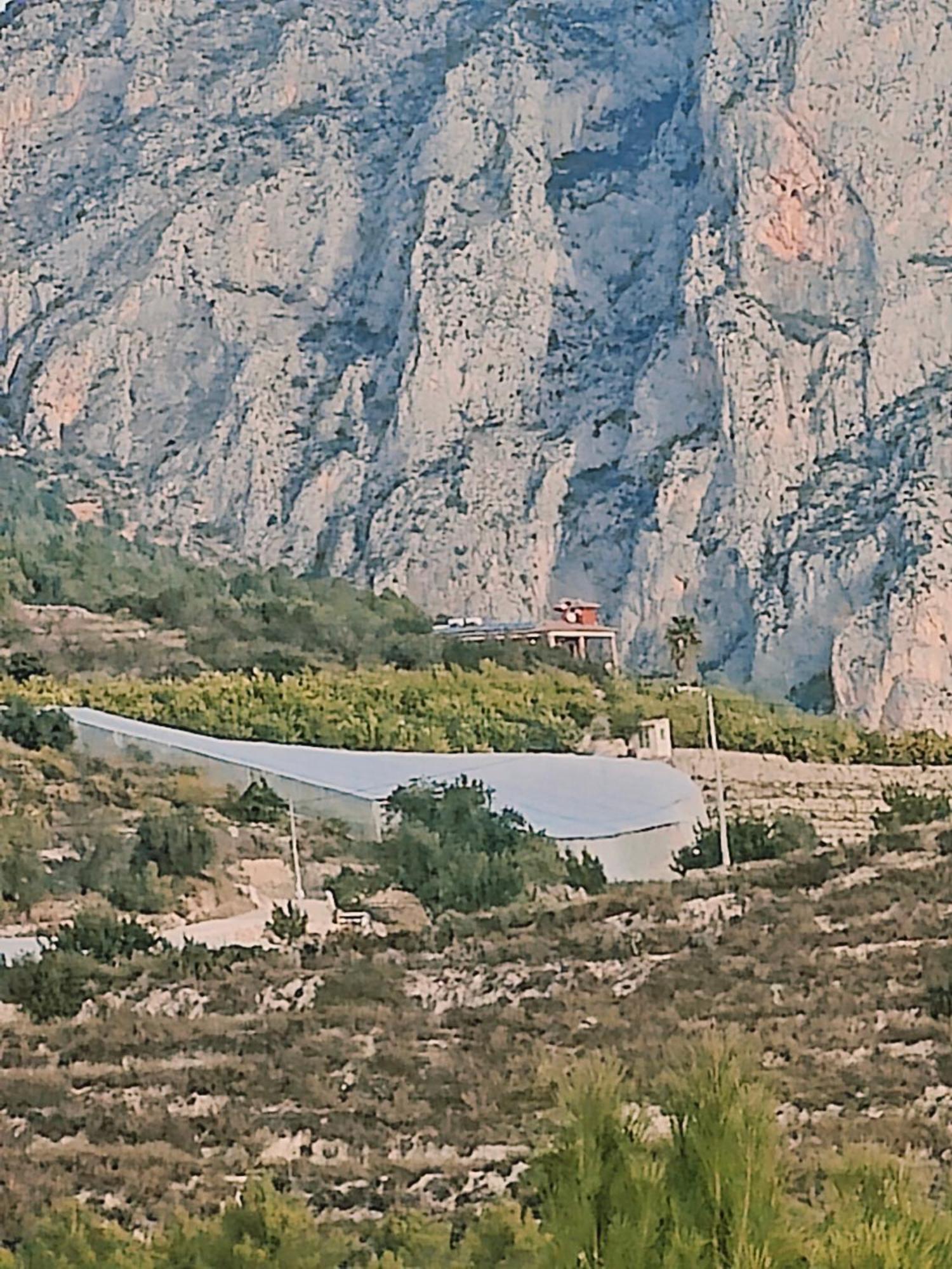 Finca Oliva Bolulla Экстерьер фото