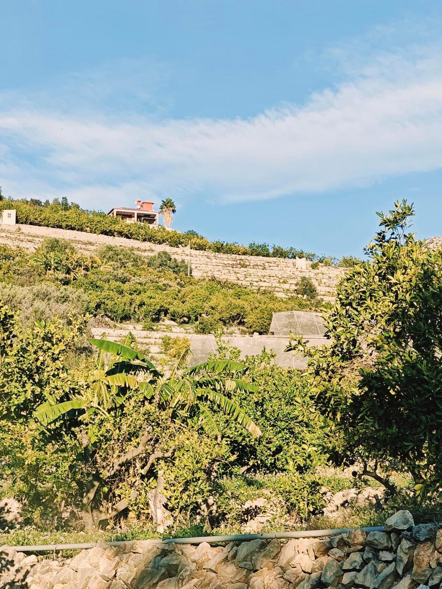 Finca Oliva Bolulla Экстерьер фото